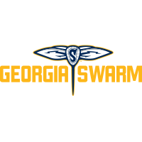 Shop Georgia Swarm